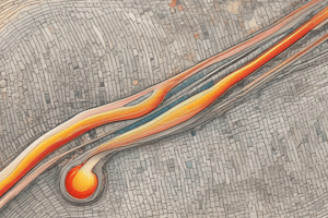 Heat Energy Transfer: How is Thermal Energy Transferred?