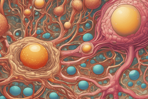 Urinary System Quiz: Filtration, Urine Production, and Dehydration