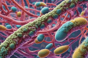 Industrial Use of Lactic Acid Bacteria