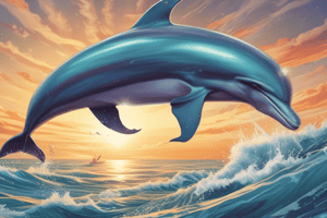 Dolphin Swimming and Breathing Quiz