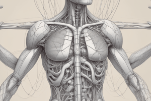 Reproductive System Study Guide