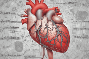 Anatomy of the Heart and Blood Vessels