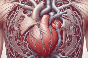 Anatomy of the Heart: Pericardium