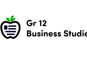 Business Studies June exam P1 (Hard)