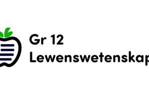 Nov Eksamen Mix 1 (Afrikaans)