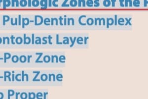 Pathway 13-1 Morphologic Zones of the Pulp