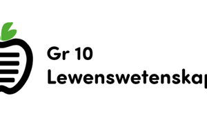 HFST 10: Voorstellings van lewensgeskiedenis