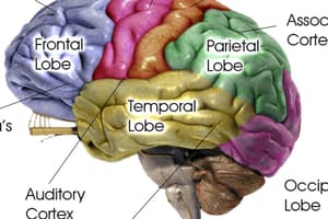 Biopsych (summary)