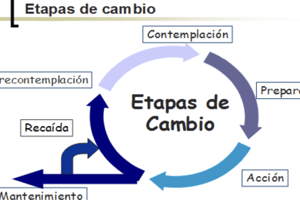 143. Quiz Tabaquismo II 295 a 310