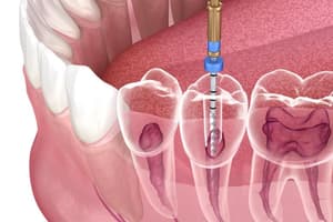 Endodontic Diagnostic Terminology