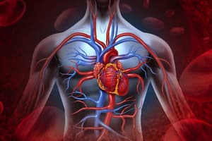 lab 4 - circulatory system