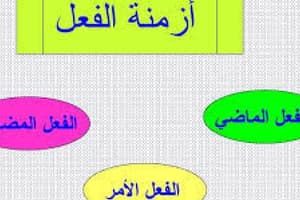 Arabic Picture Matching Activity