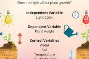 Dependent and Independent Variables in Health Research