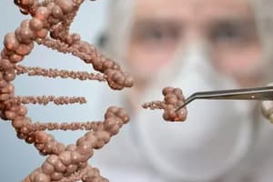 Genetics of Sex: Genetic Determination, X and Y Chromosomes, Karyotype