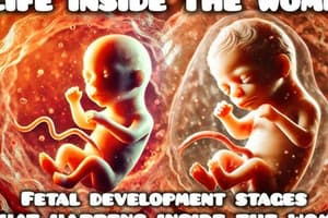 Chapter 5: Conception and Prenatal Development