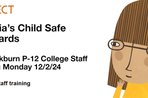 Understanding the 11 Child Safe Standards