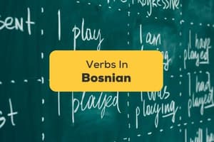 Bosnian Verb Conjugation Quiz