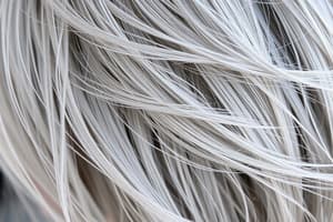 Understanding Gray Hair and Its Characteristics