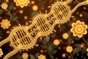 Prokaryotic Transcription Overview: L12