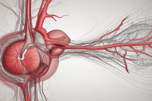 Hemodynamic LE9