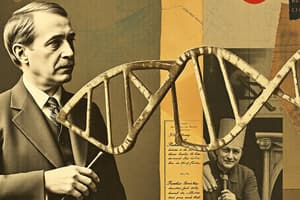 DNA Discoverers: Crick and Watson