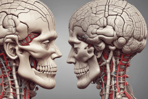 Anatomia Cerebelli et Motus