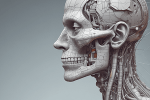 Knee Joint Anatomy and Programming Languages