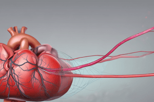 Right Atrial Pressure (RAP) in Cardiovascular Physiology