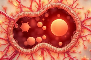 11. Physiology - Blood Flow Regulation