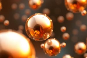 Magnetic Nanoparticles Overview