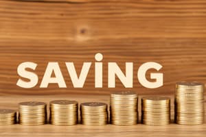 Savings and Capital Formation Overview