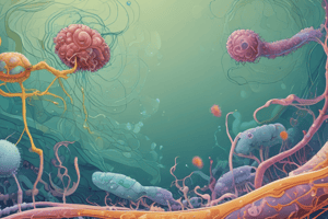 Bacterial Cell Structure and Morphology