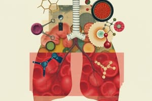 Daily Task Test: Respiratory System and Enzymes