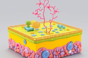 Biology Chapter on Membrane Organization