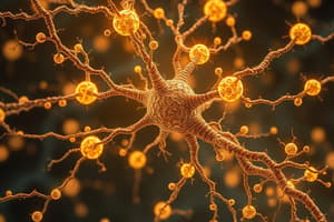 Neurobiology: Chemical Synapses