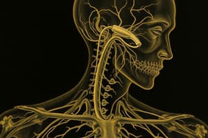 Autonomic Nervous System and Oculomotor Nerve