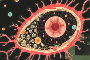 Cell Structure and Function Quiz