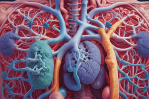 Unit 6: The Respiratory System - Functions and Gas Exchange