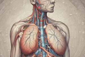 SAQ - Differences between normal and laboured breathing