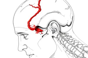 Trauma and the Nursing Process for the patient with a neurological disorder