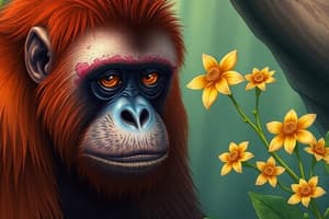 Orangutan Wound Healing Case Study