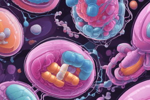 Antibiotic Resistance and Beta-Lactamase Inhibitors