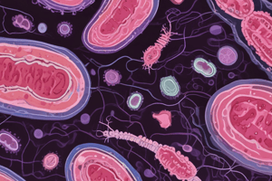 Pathogenesis of E. coli Infections