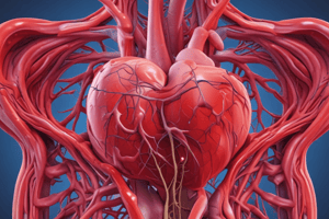 Coronary Artery Disease and Arteriosclerosis Quiz