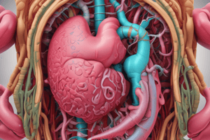 Digestive System Functions Quiz