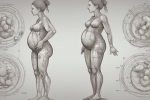 Fisiología del Embarazo y Desarrollo Fetal