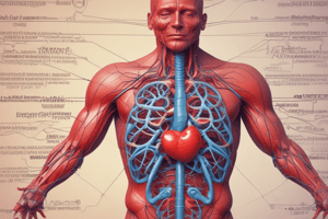 Circulatory System Quiz