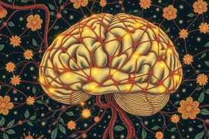 Neurotransmisores: Funciones y Efectos en el Cuerpo