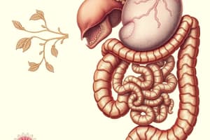 Embryology L10: Digestive System