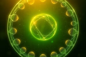 Cell Cycle Quiz - Interphase Overview